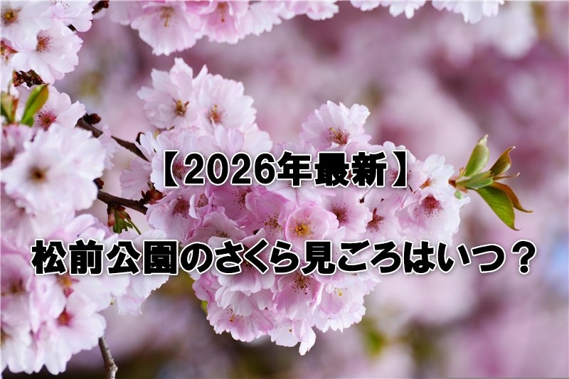 松前公園のさくら見ごろはいつ？