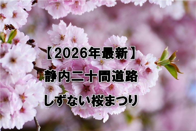 静内二十間道路 しずない桜まつり