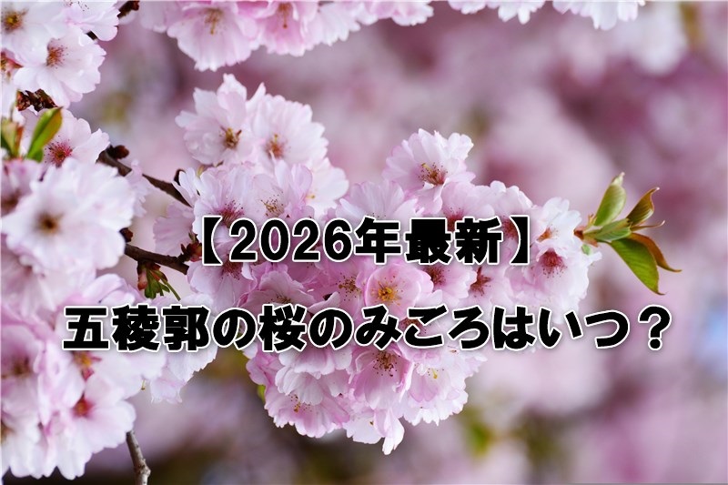 五稜郭の桜のみごろはいつ？