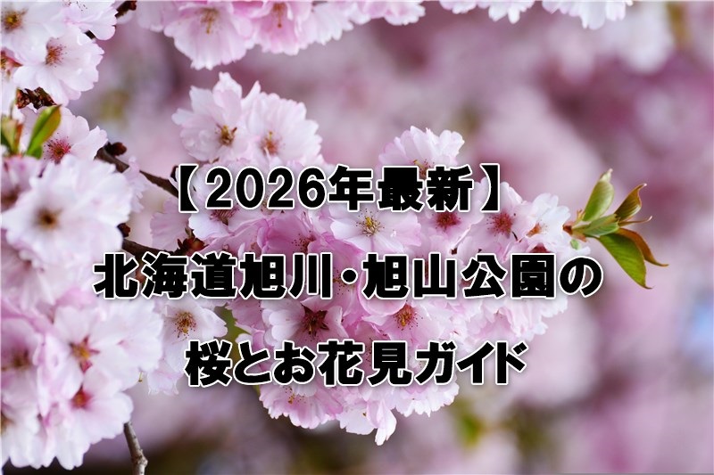 北海道旭川・旭山公園の桜とお花見ガイド