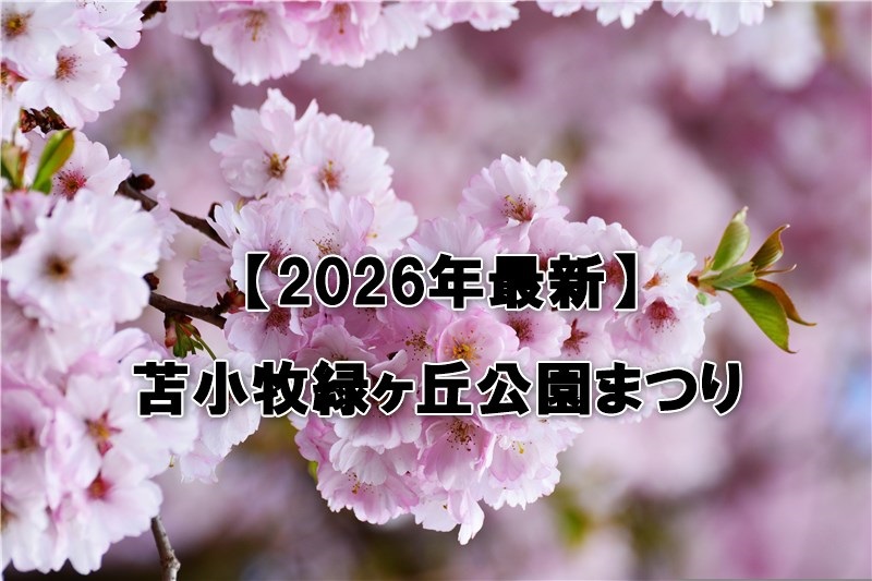 苫小牧緑ヶ丘公園まつり
