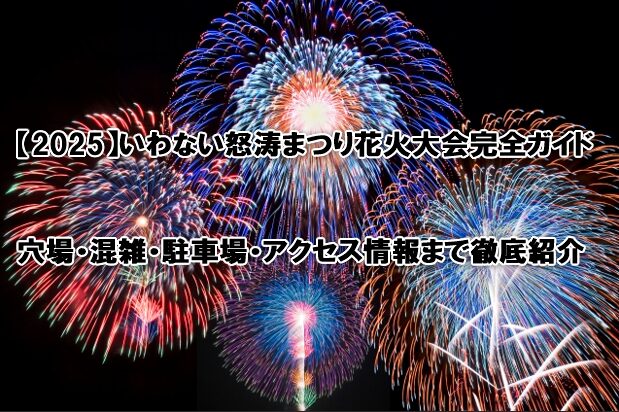 いわない怒涛まつり花火大会