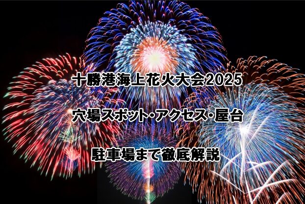 十勝港海上花火大会2025