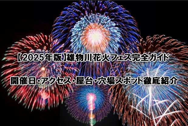 雄物川花火フェス完全ガイド