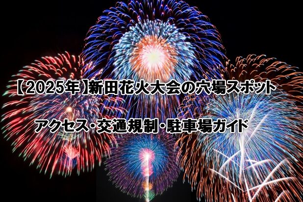 新田花火大会