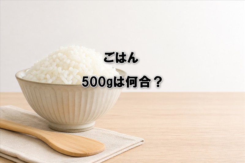 ごはん500gは何合？
