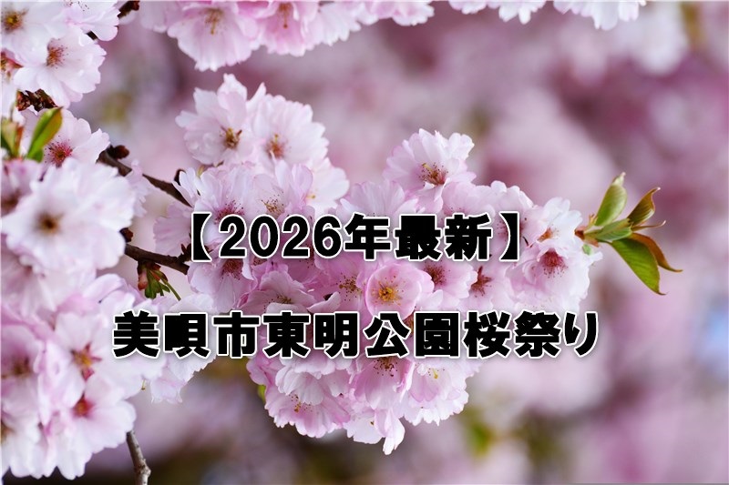 美唄市東明公園桜祭り