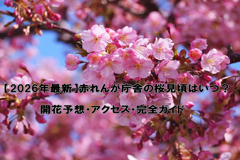【2026年最新】赤れんが庁舎の桜見頃はいつ